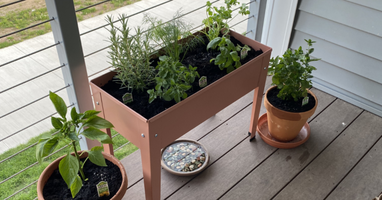 Eager Container Gardener